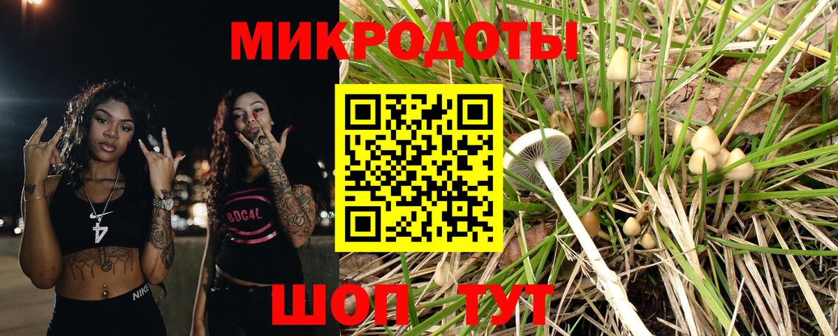 Карпинск  Галлюциногенные грибы прущие грибы  Вход с VPN 
